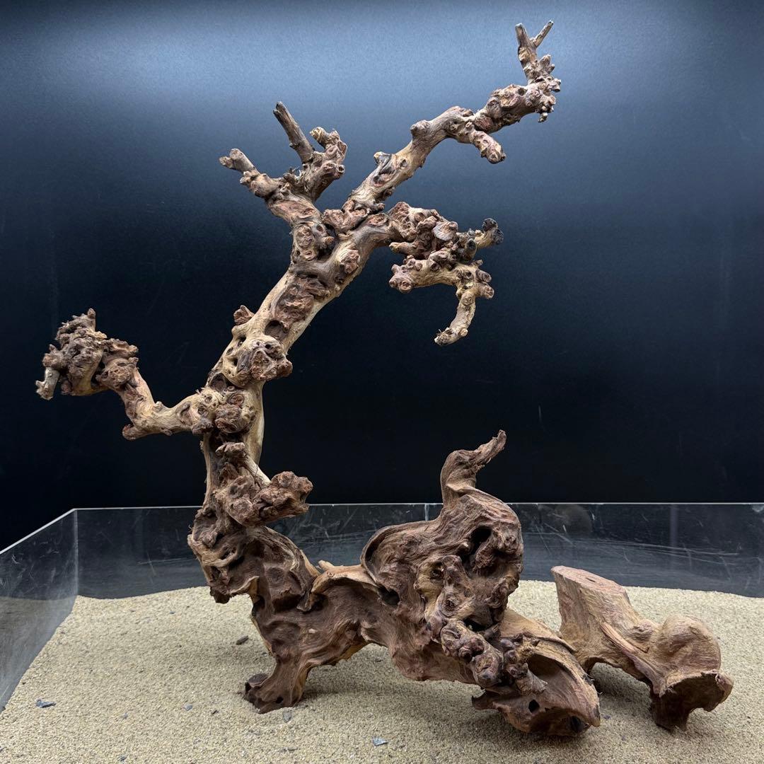 MSW-7083 天然流木 一点物　枝流木　アクアリウム