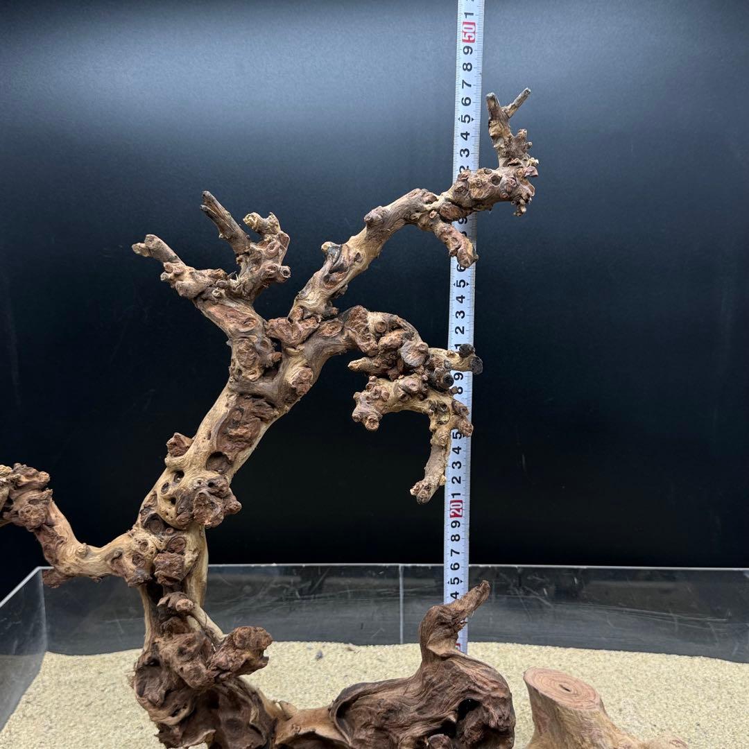 MSW-7083 天然流木 一点物　枝流木　アクアリウム