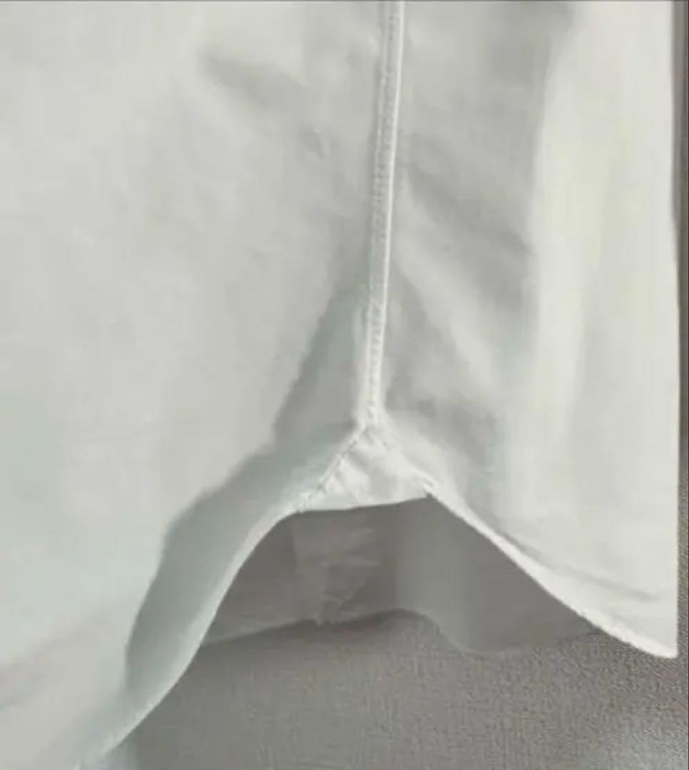 BARBA（バルバ）DANDY LIFE ブロードソリッド カッターウェイ 41