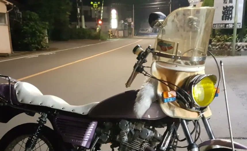 N*様 本物 当時物 ナポロッキーミラー 左右セット