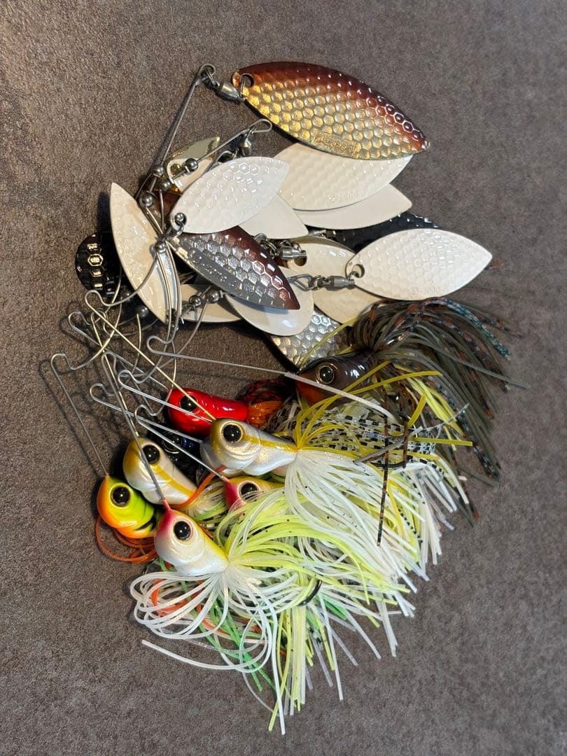 エバーグリーン　D-ZONE 未使用品　１０個