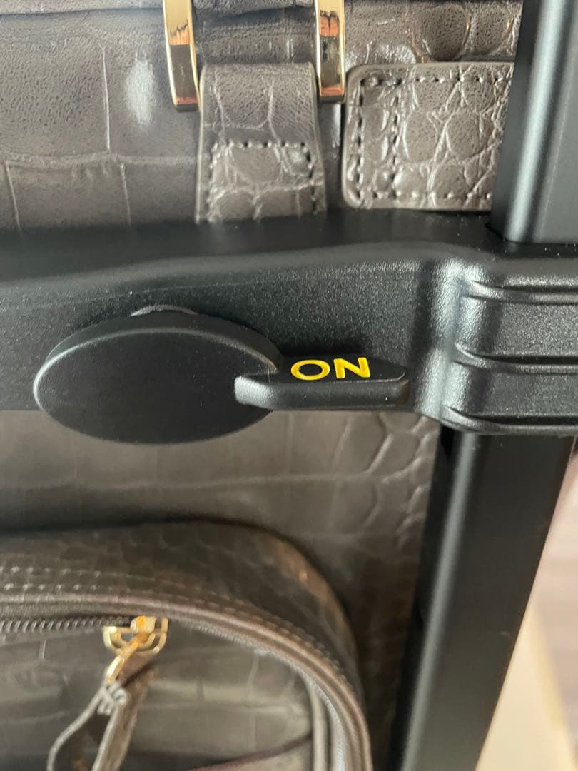 新品　未使用　SWANY スワニー クロコ型押しキャリーケース