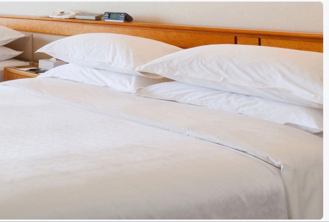 羽毛ピロー　1つ　シェラトングランデ東京ベイ　枕　羽毛　ホテル