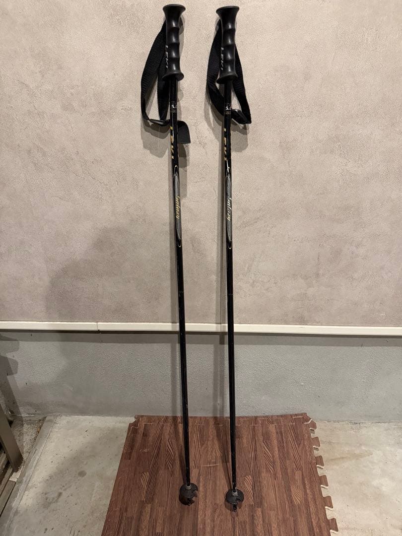 にこさん専用SAVAGE X スキーとポールセット