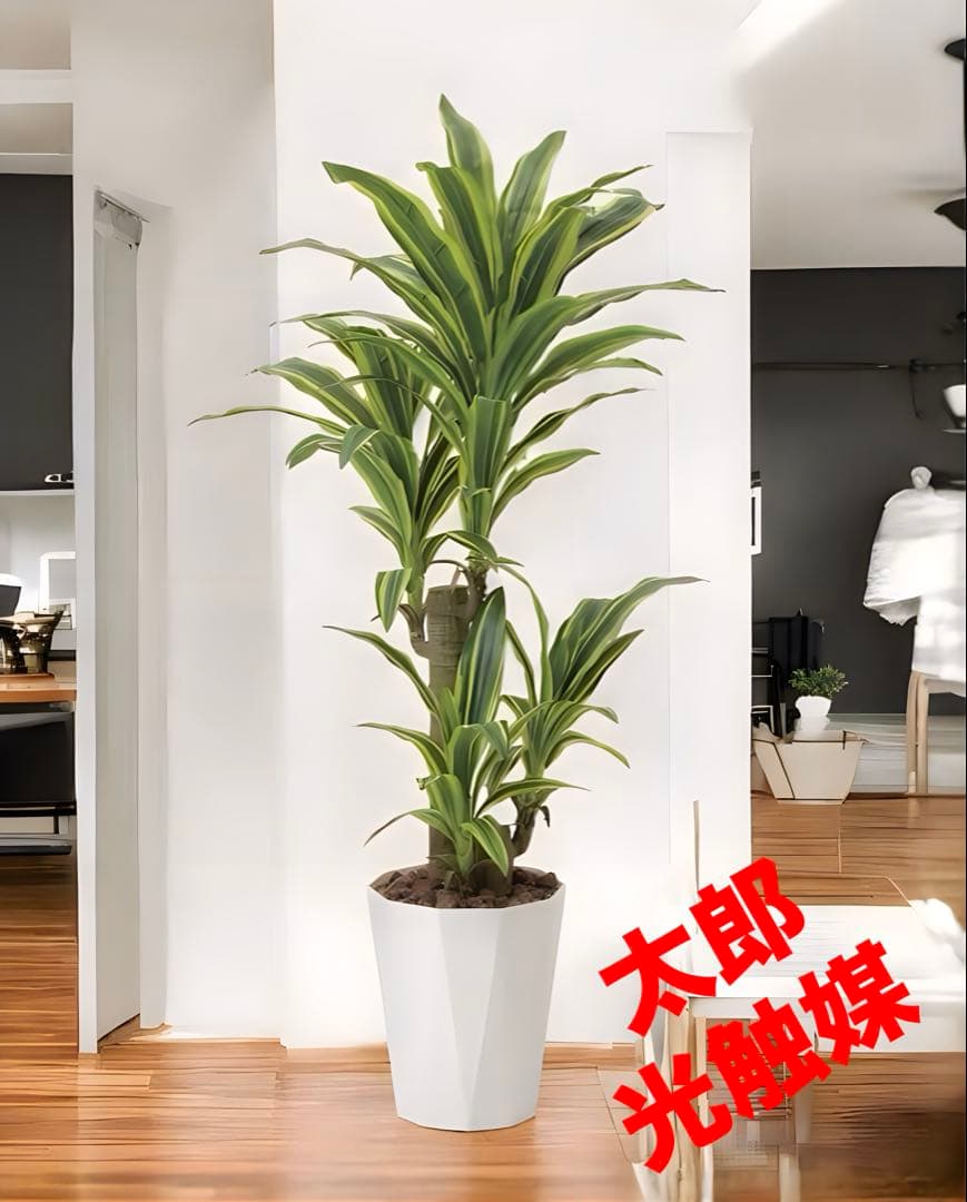 光触媒　人工観葉植物　フェイクグリーン　フレッシュドラセナ 高さ 1.25m