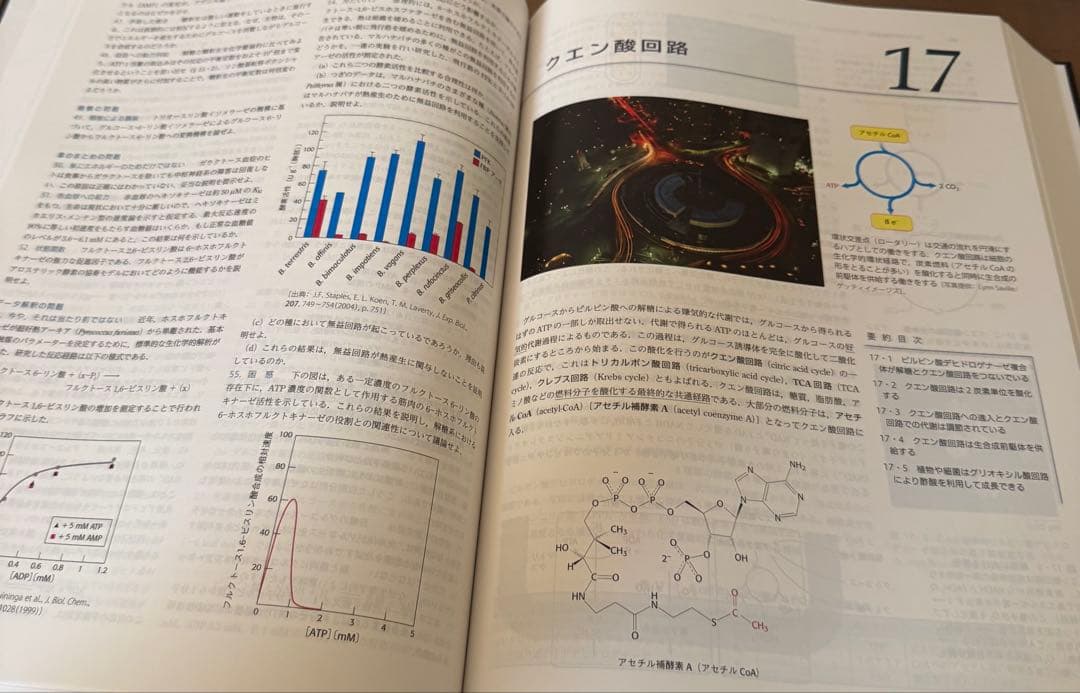 【新品未使用】ストライヤー 生化学 第8版
