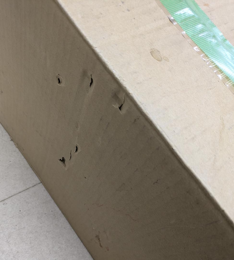 ODELIC シーリングファン WF 503