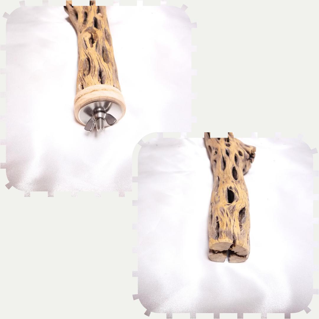 pau　止まり木　カクタス　スケルトン　パーチ　おまとめ２点