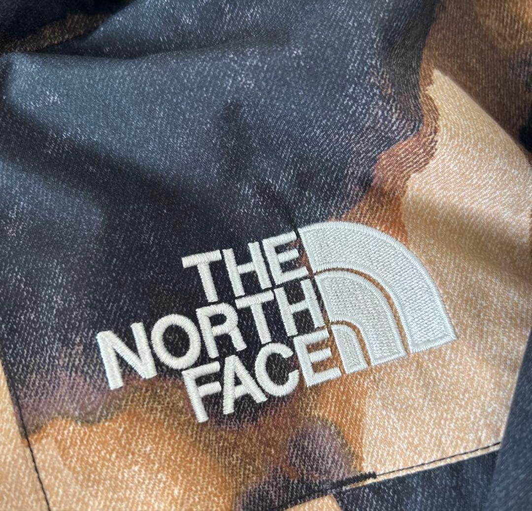 supreme the north face 21fw マウンテンパーカー