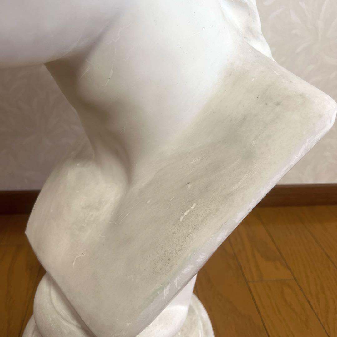 ミロのヴィーナス 石膏像 胸像 美術 デッサン オブジェ 置物