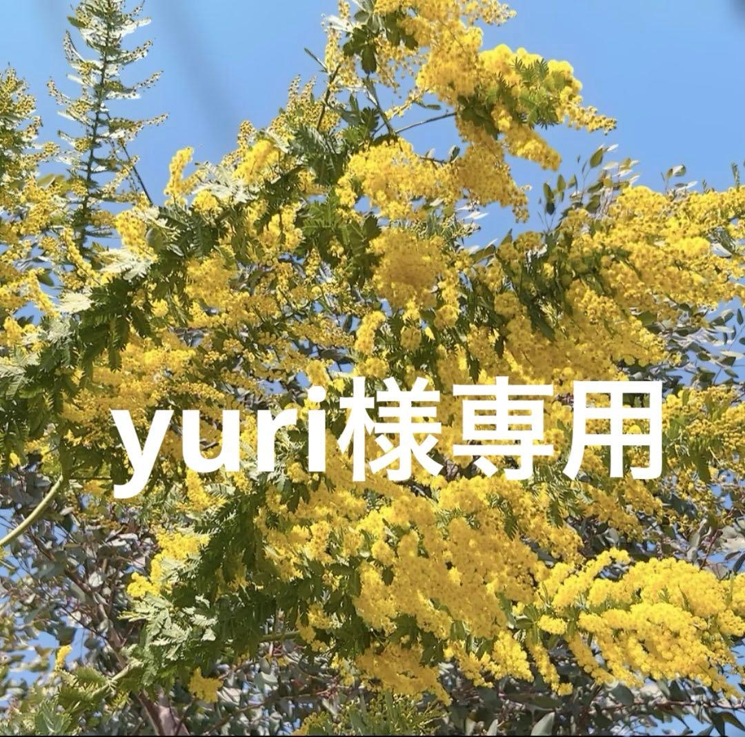ミモザ　yuri　コンパクト発送