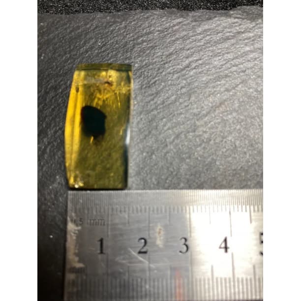 ブルーアンバー 虫入り 天然 琥珀 天然石 パワーストーン