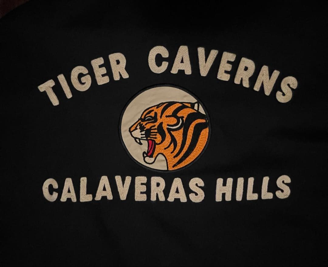 【早い者勝ち】Backers TIGER CAVERNS ジャケット　古着　刺繍