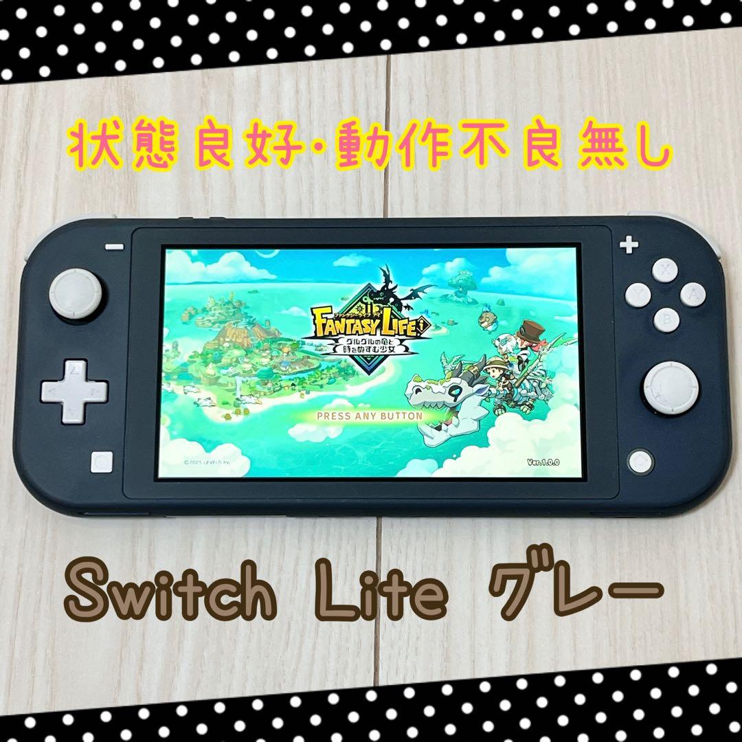 Nintendo Switch Lite グレー スイッチライト 本体
