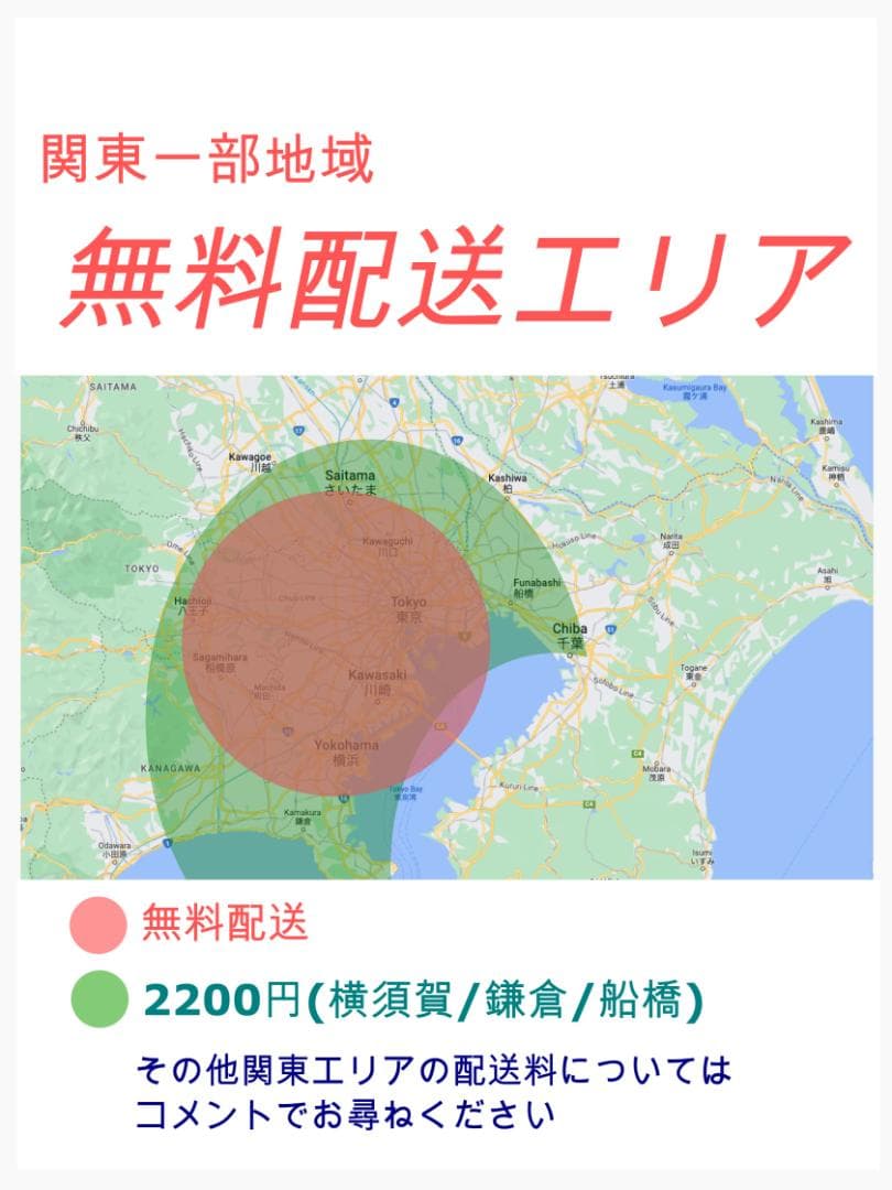 最終限定セール アニーズ 子供乗せ電動アシスト自転車 ZH1262