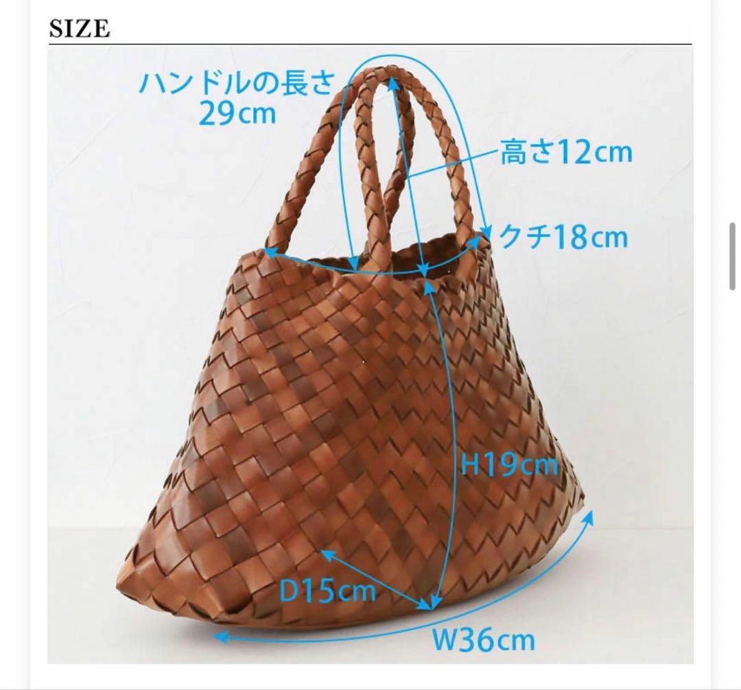 ドラゴン バッグ レザーメッシュ 8893 DRAGON DIFFUSION