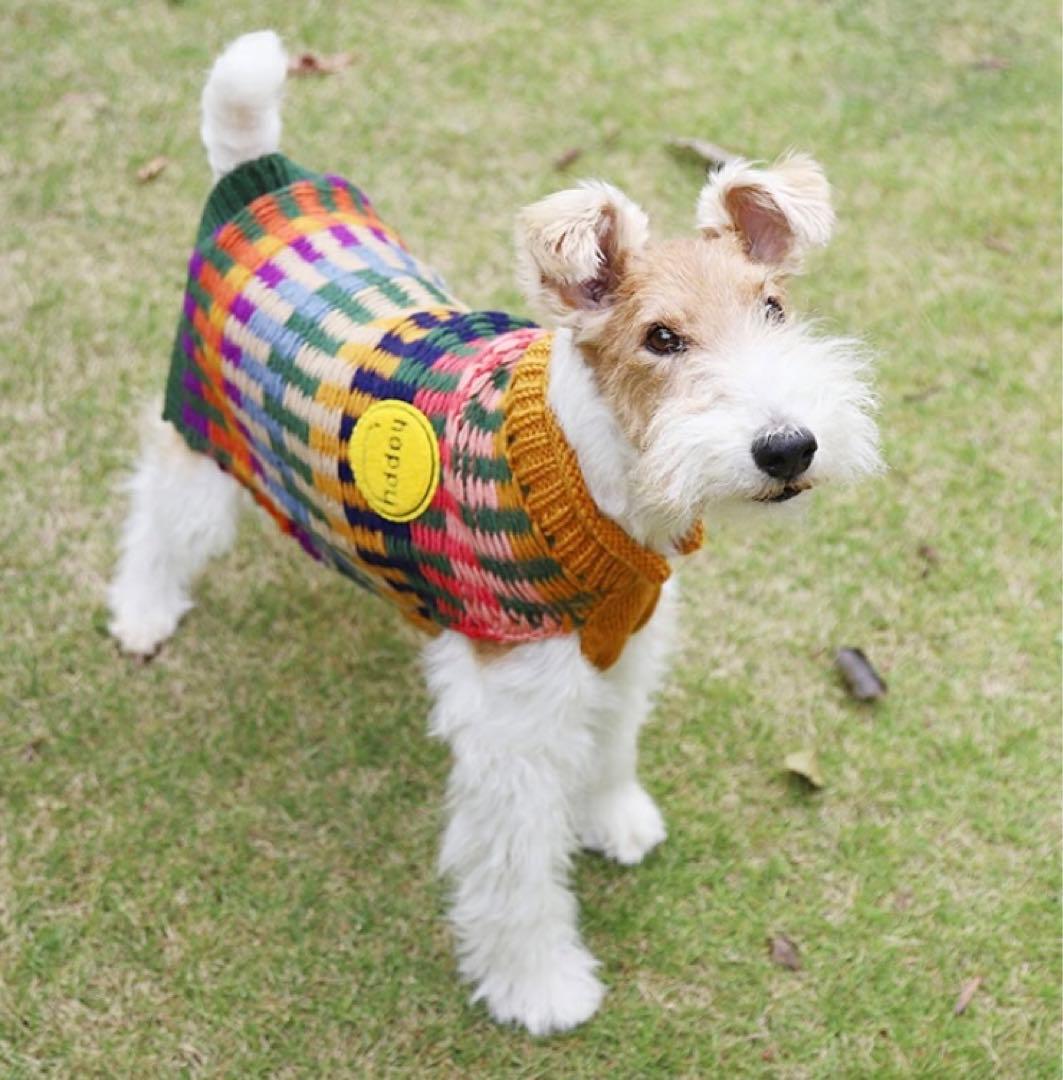 新品　犬服　E Ripple ドッグセーター ニット　ジョージ　10