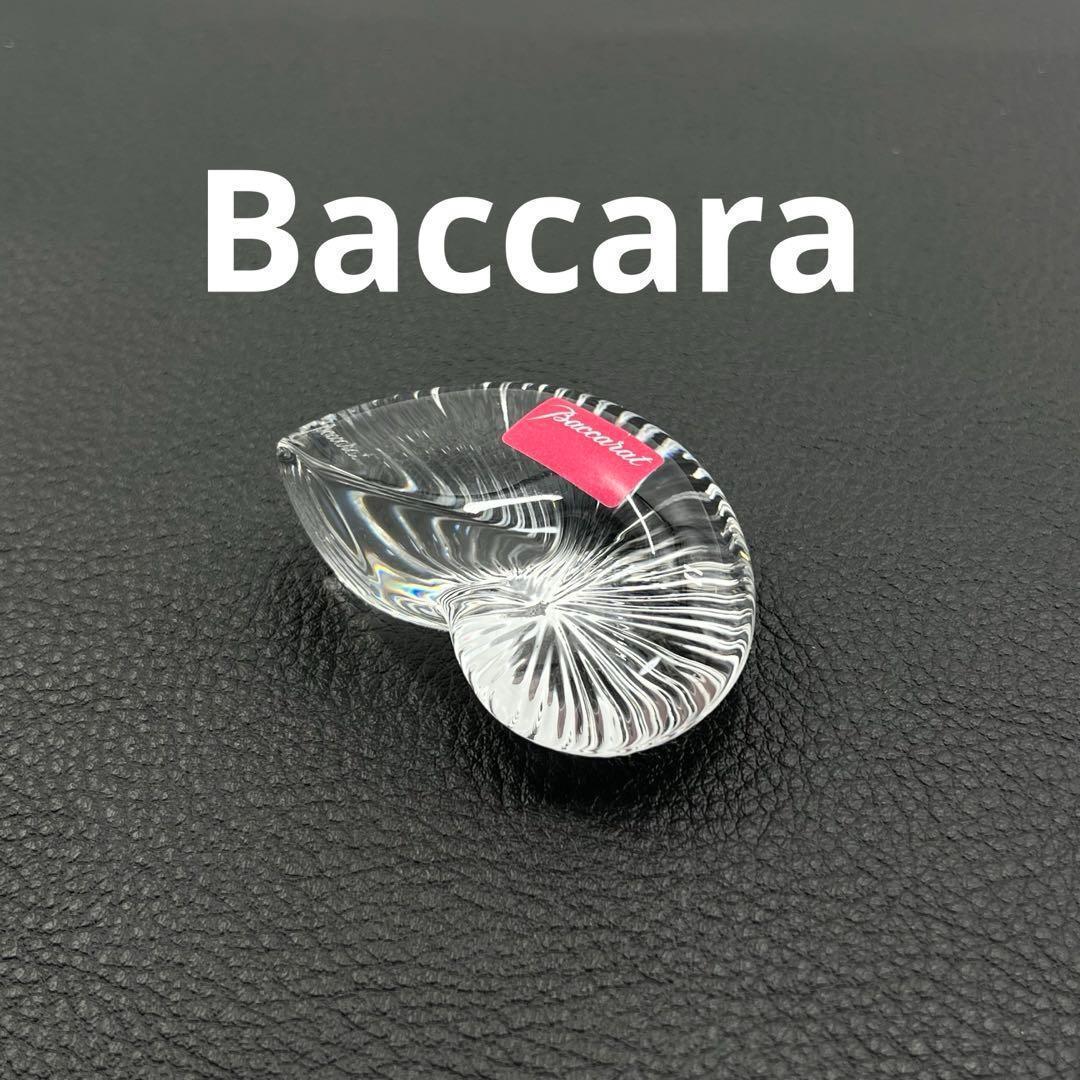 Baccara アンモナイト 置物 ペーパーウェイト オウムガイ 貝