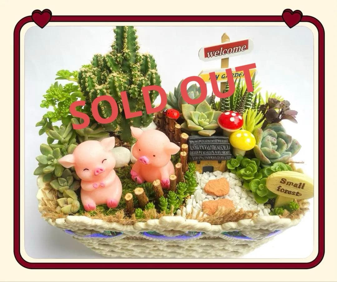 多肉寄せ植え♬箱庭♬子豚