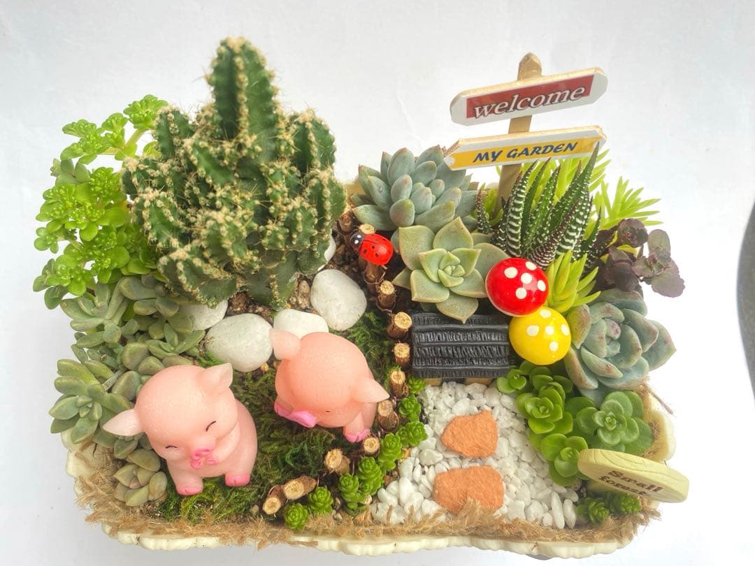 多肉寄せ植え♬箱庭♬子豚