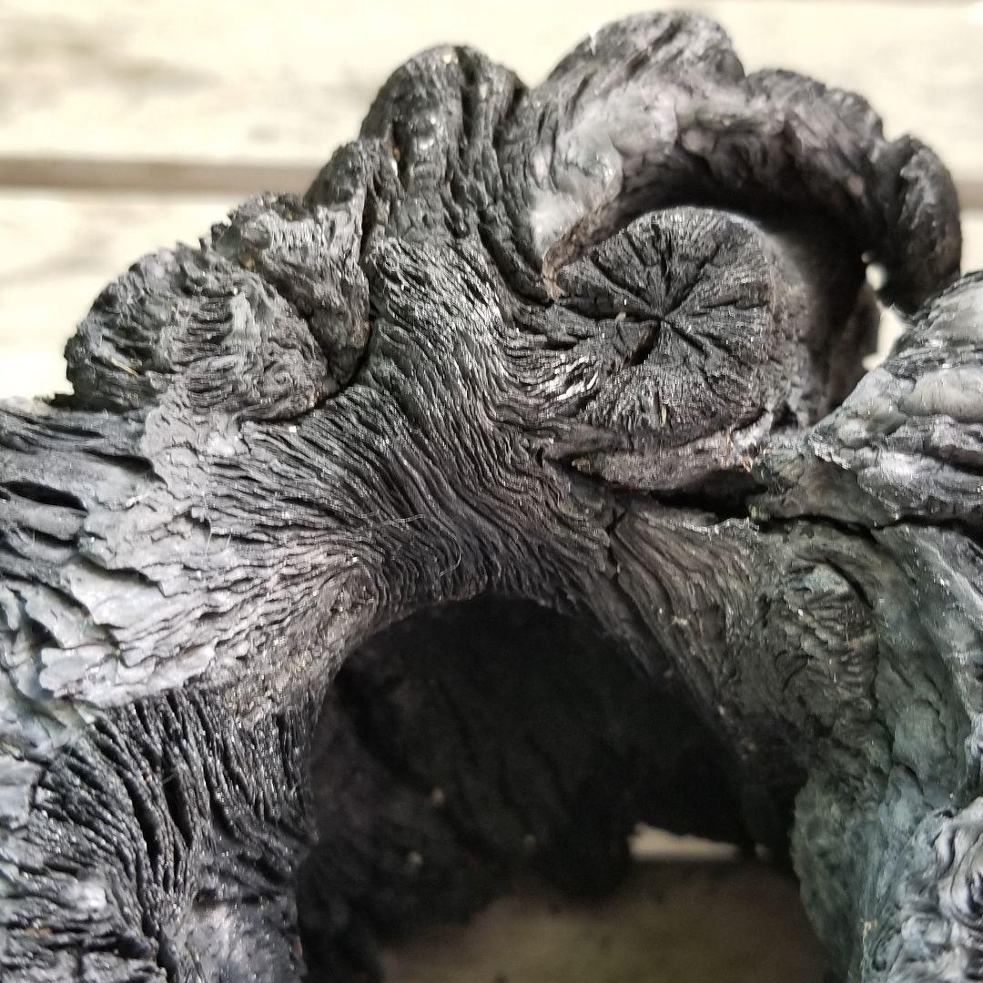 紀州備長炭オブジェ　一点物　希少