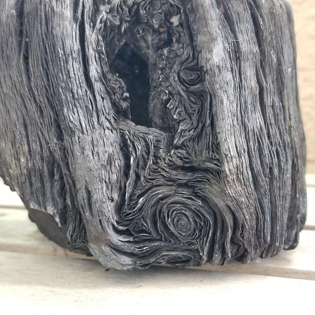 紀州備長炭オブジェ　一点物　希少