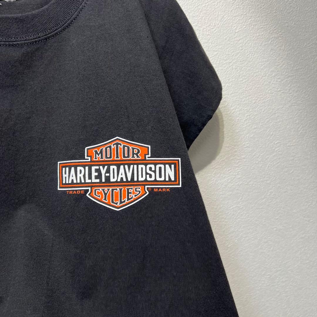 【希少】 古着 ハーレーダビッドゾン 両面プリントTシャツ ノースリーブ 2XL