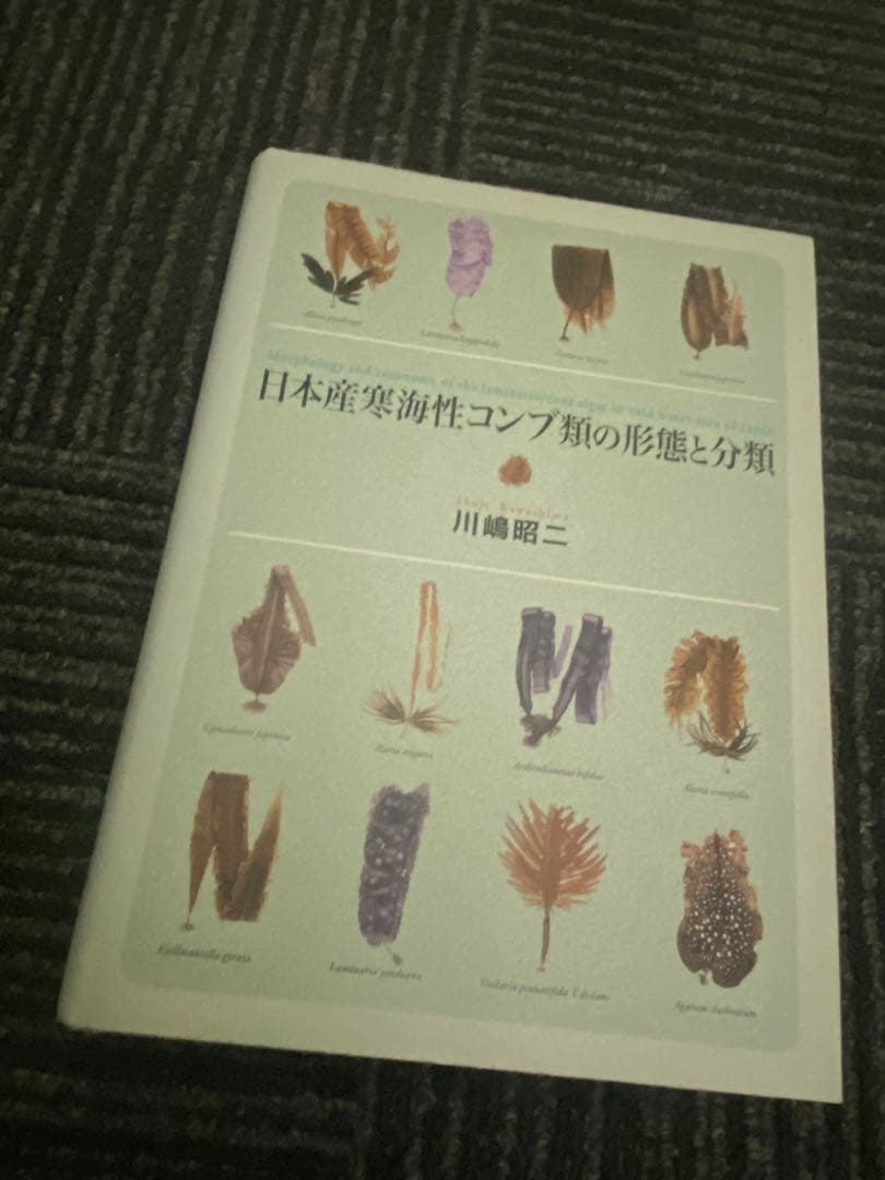 日本産寒海性コンブ類の形態と分類 川島昭二