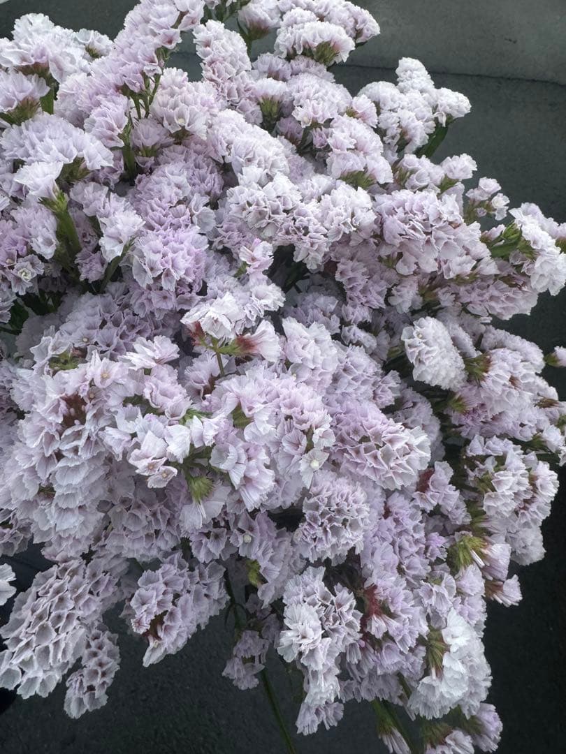 kikurin728様 リクエスト 2点 まとめ商品