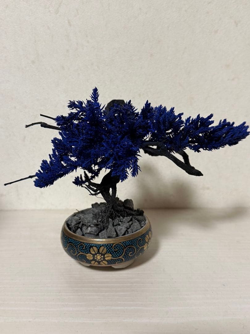 re盆栽　青　盆栽　TOUFU東京