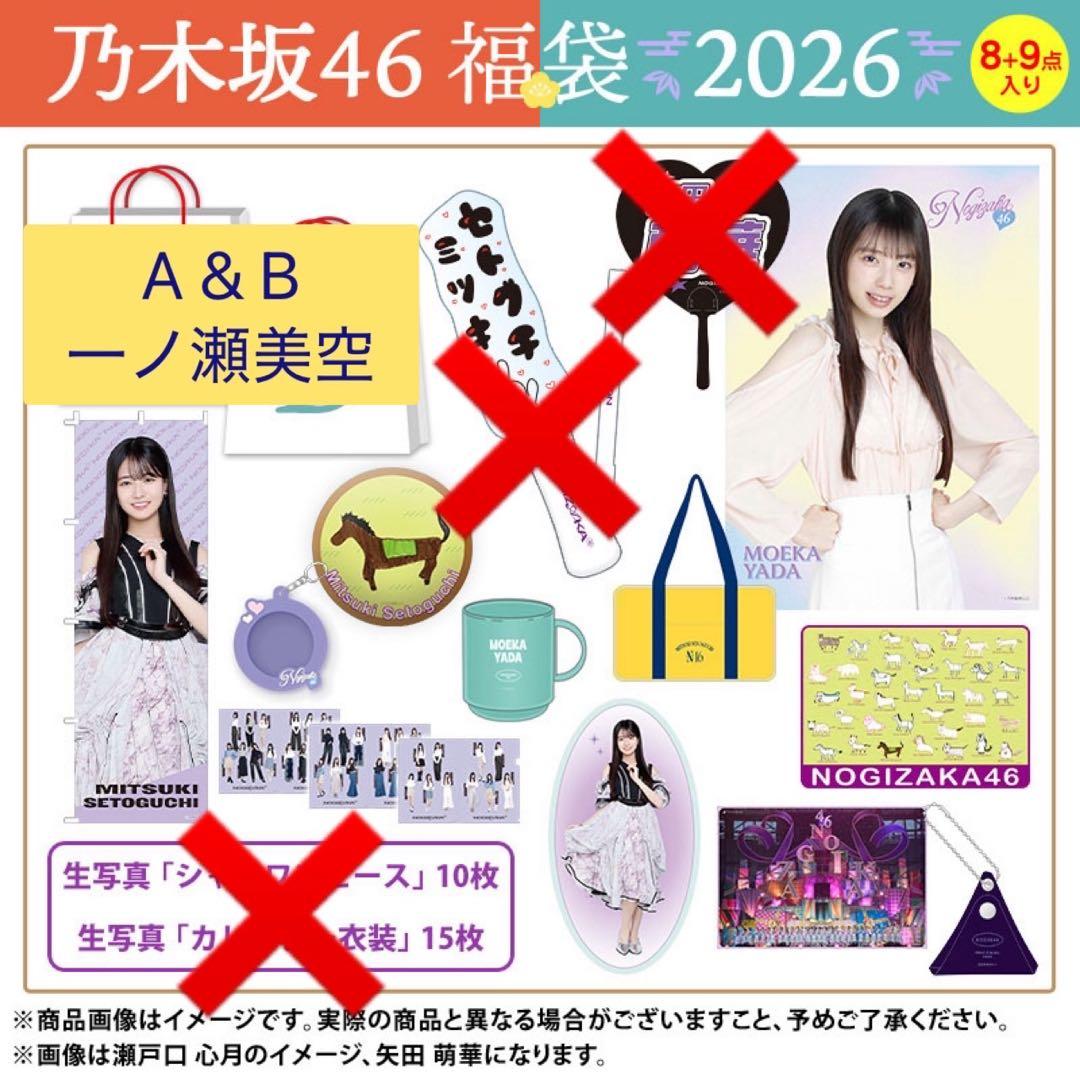 ぽ*き様 乃木坂46 一ノ瀬美空 福袋2026 A&B