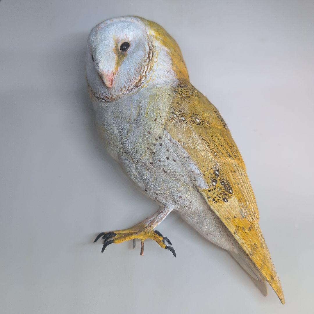 リアル　「メンフクロウ」　野鳥彫刻　 バードカービング　木彫りの野鳥