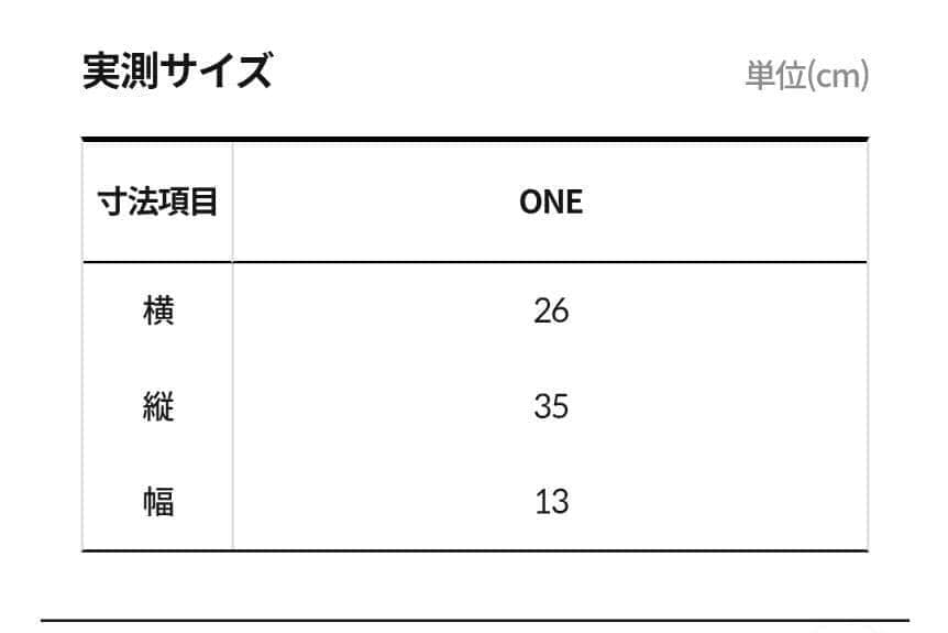 新品 ノースフェイス ホワイトレーベル リュック グレー 並行輸入品
