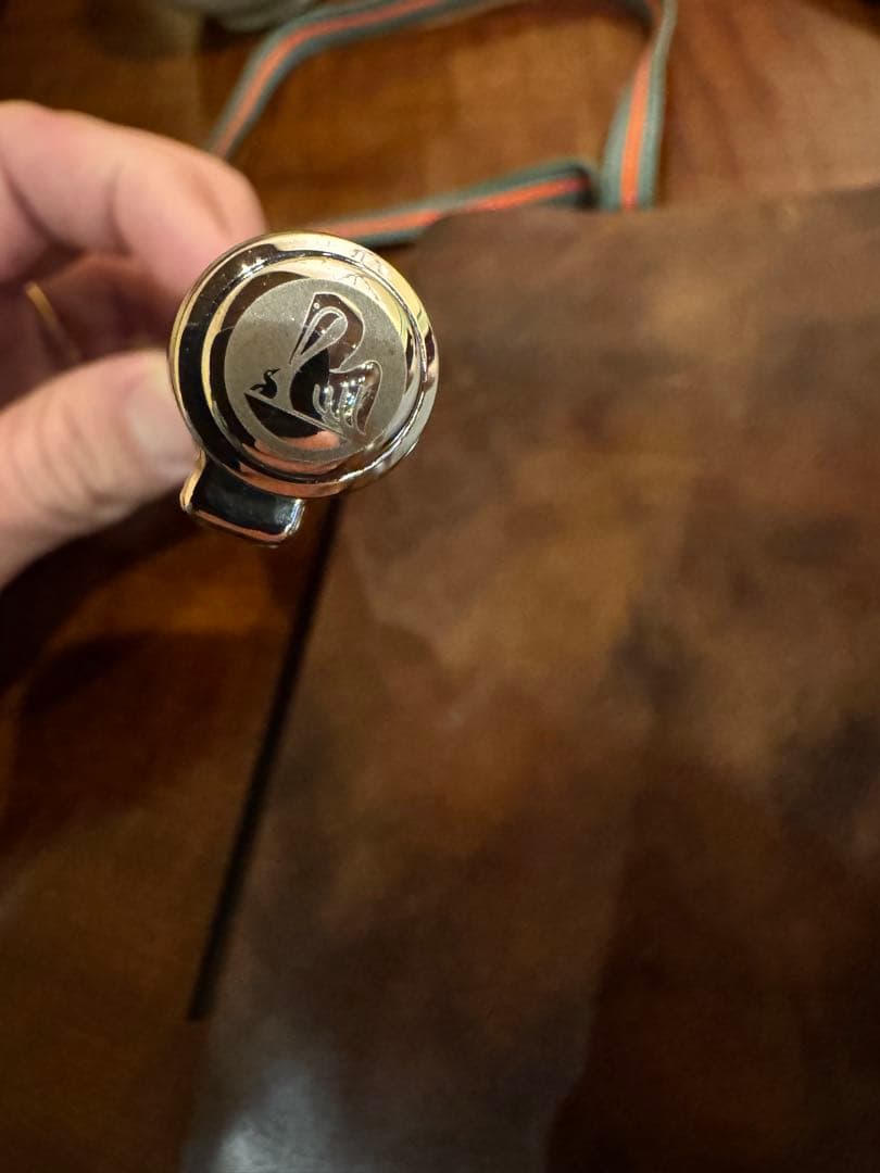 本日のみセール　本日発送可能　ペリカン　オーシャンスワール　EF 万年筆