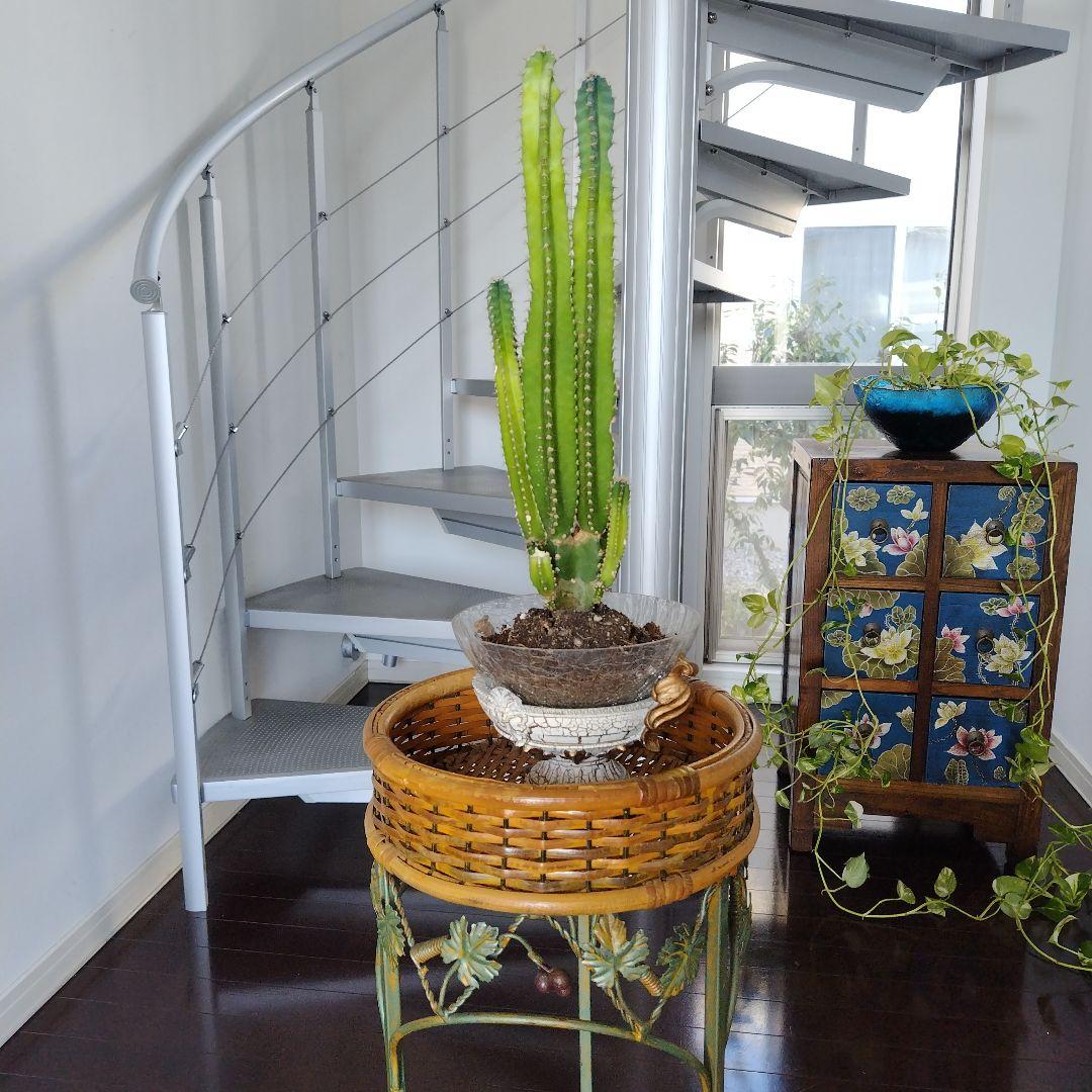 アンティーク ラタンとアイアンのフラワースタンド