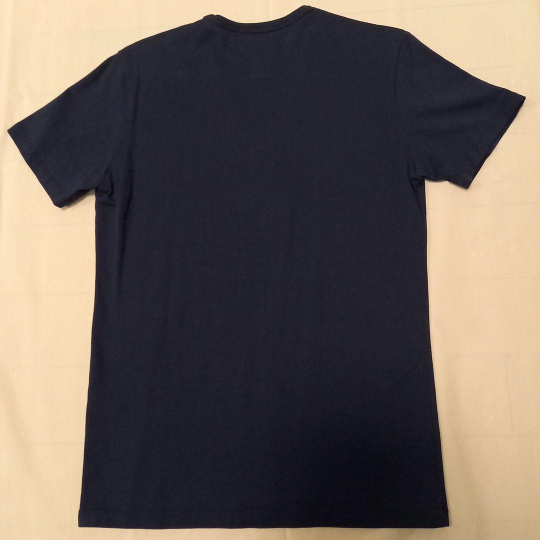 ロアー 美品！ カワノ別注 フルスワロVネックTシャツ サイズ2