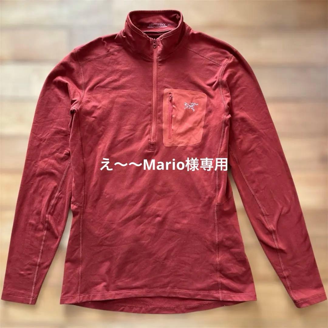 アークテリクス Arc'teryx ハーフジップ　長袖カットソー メンズSサイズ
