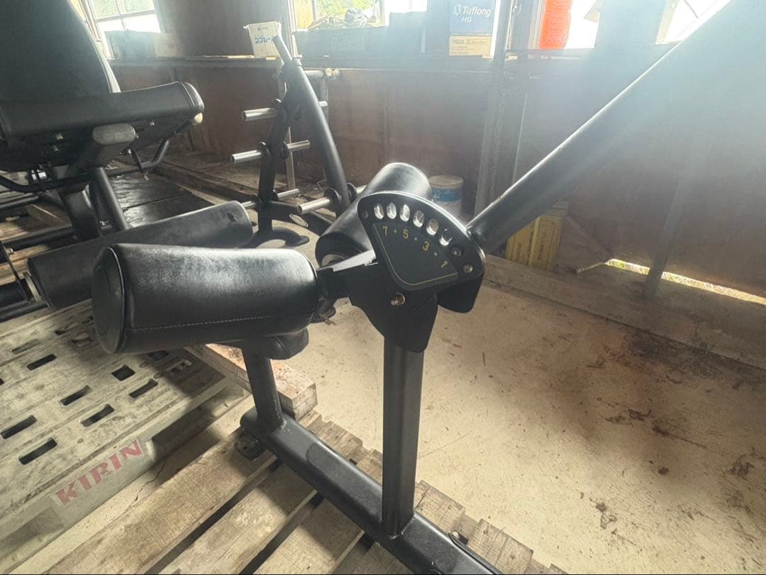 最高級　ラットプルダウン 業務用 ウエイトトレーニング MATRIX