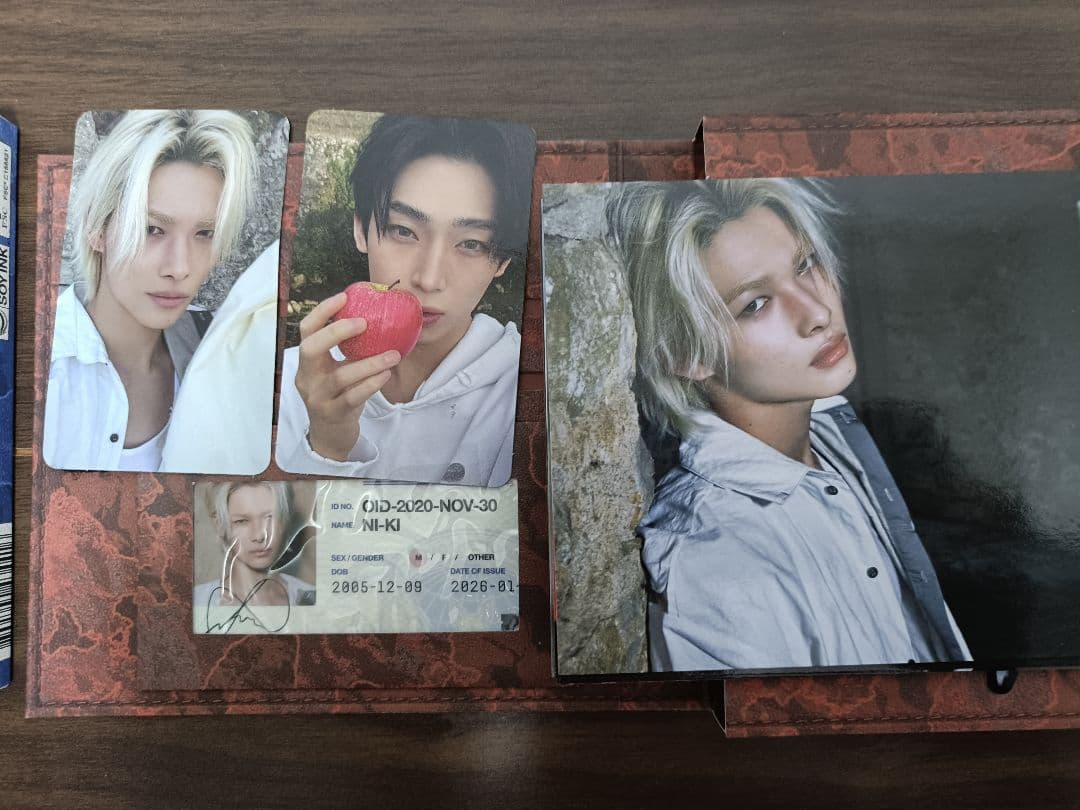 ENHYPEN THE SIN : VANISH 10形態