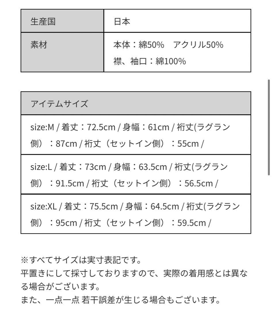 【新品未使用】THE NORTH FACE パープルレーベル ロゴロンT