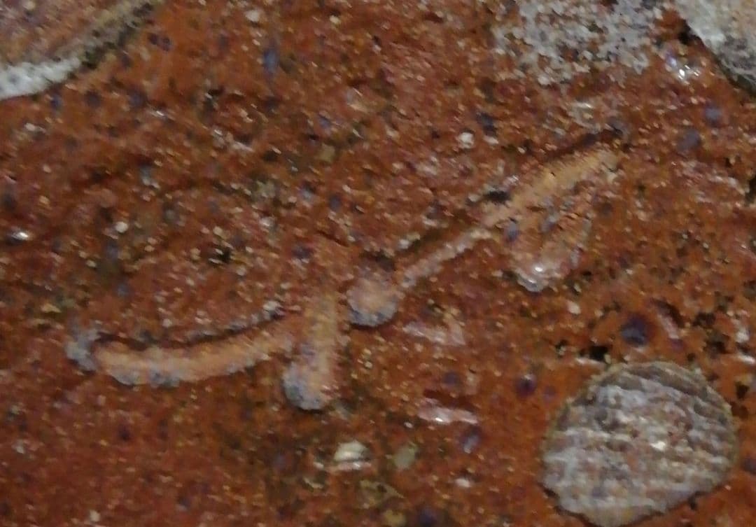 田中佐次郎作　唐津焼　舟徳利　花入　共箱　花瓶