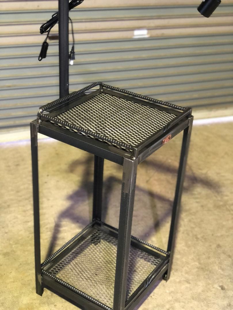 魅せる　アガベ育成棚