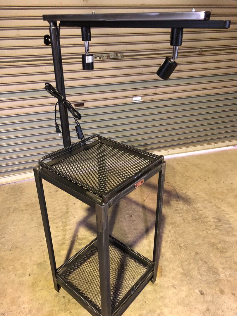 魅せる　アガベ育成棚