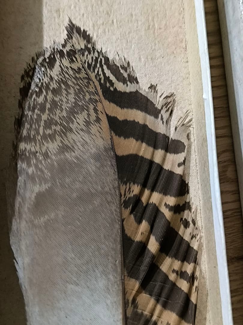 ​茶道具 羽帚（はぼうき） 三ツ羽 天然羽 箱入り羽箒