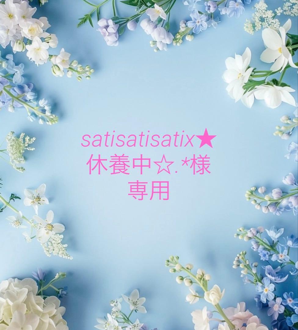 satisatisatix★休養中☆.*