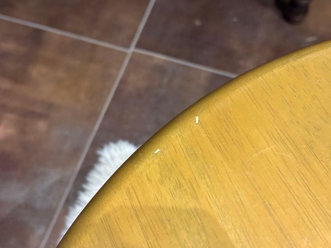 マルニ　ナチュラル　センターテーブル　ローテーブル　ラウンドテーブル　SH