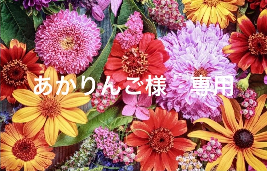 あかりんご　36