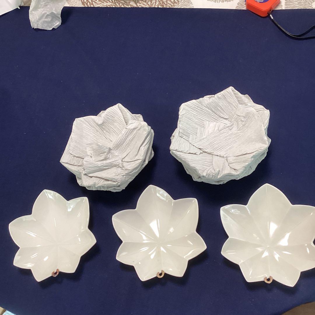 割烹食器　作家　窯元　色々食器　和食店　　　白釉紅葉向付9客　新品未使用