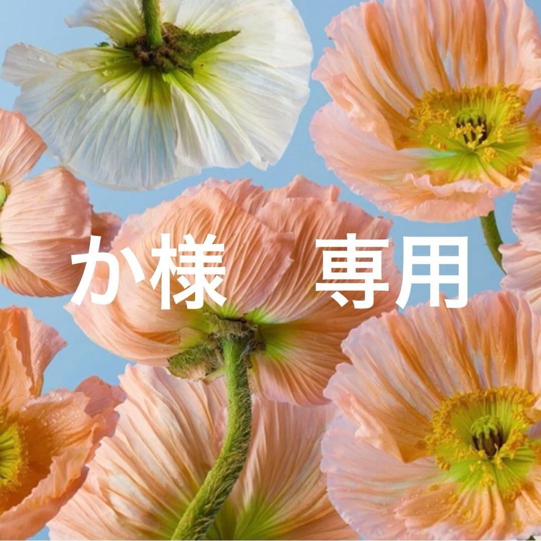 か　ホワイトダウン