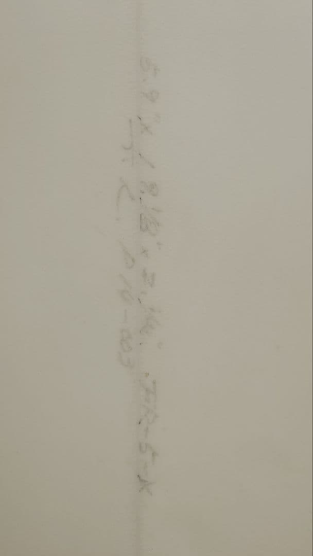 超軽量 EPSサーフボード 5,9 ハードケース付